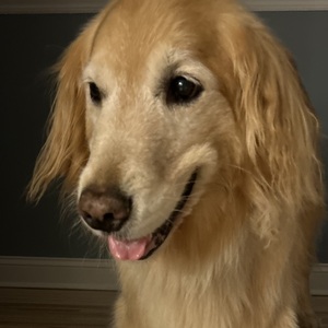 Fundraising Page: Janet Lechleitner